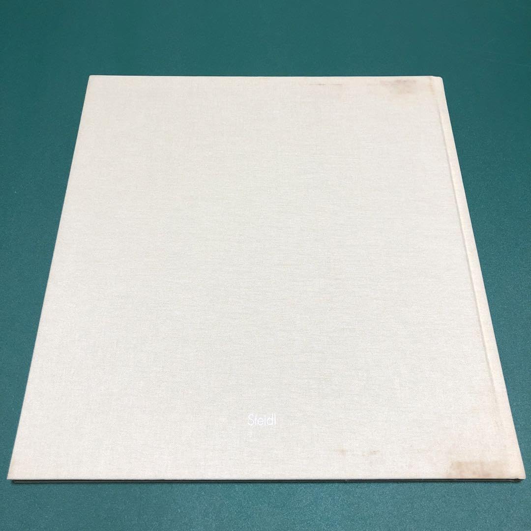 Amazon.co.jp: 本bird by RONI HORN ロニ ホーン作品集 : おもちゃ